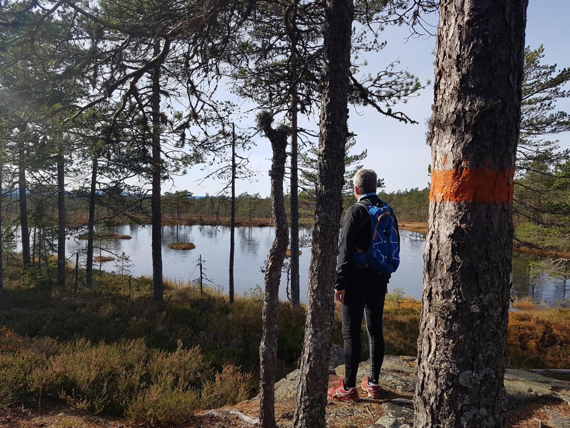 Ulvsby Herrgard Sunne Buitenkant foto