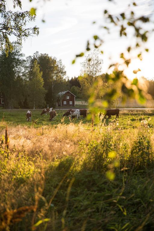 Ulvsby Herrgard Sunne Buitenkant foto